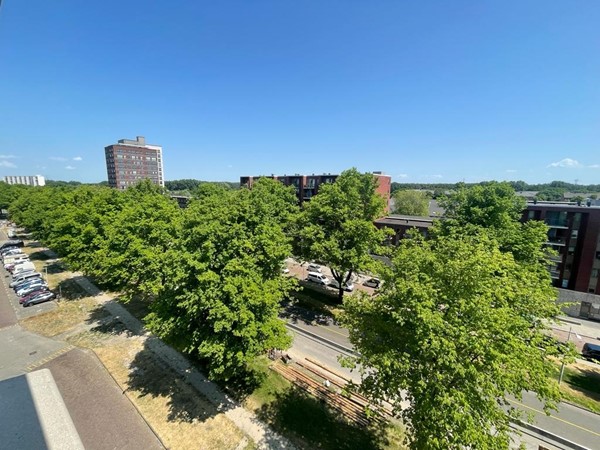 Medium property photo - Zandvoortstraat, 1024 VT Amsterdam